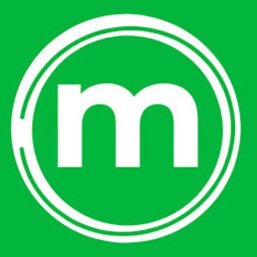 money mint idea 2.0 logo.